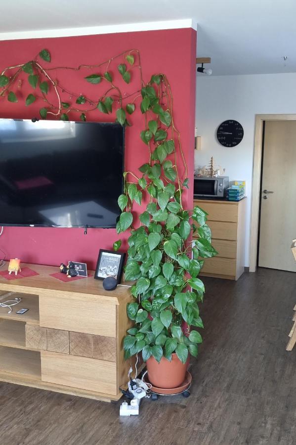 Ferienwohnung Bergidyll 施瓦岑贝格 外观 照片