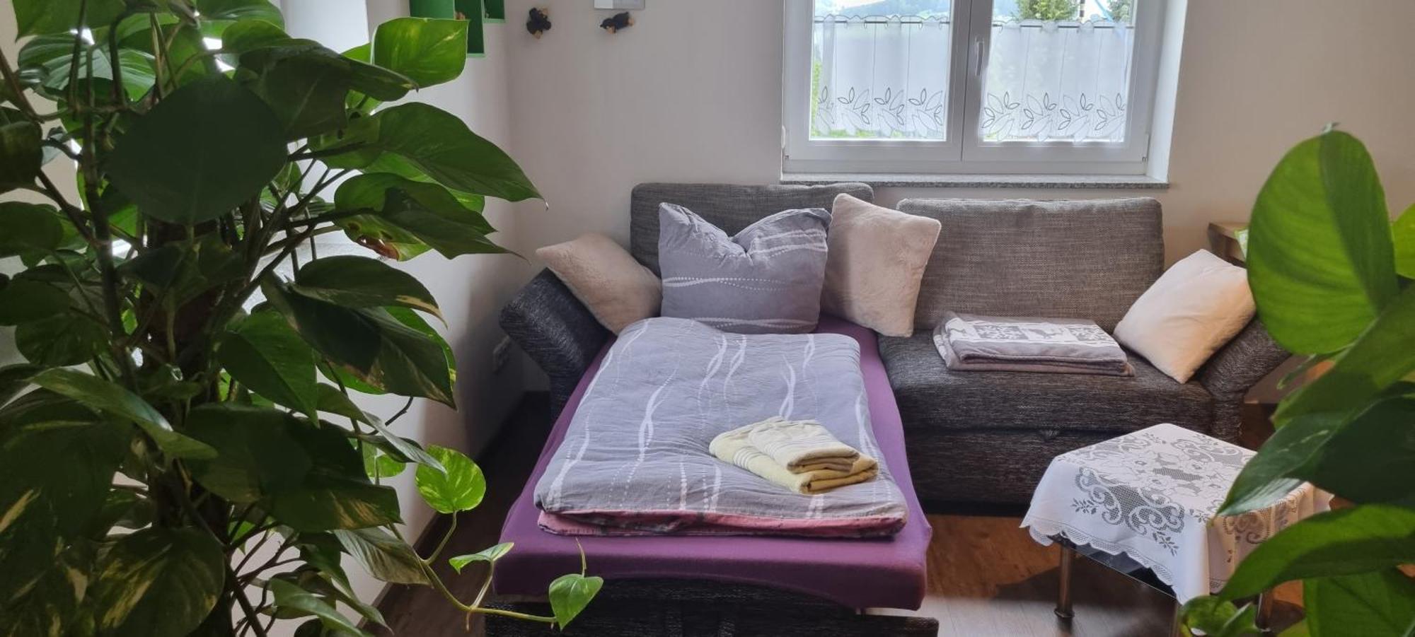 Ferienwohnung Bergidyll 施瓦岑贝格 外观 照片